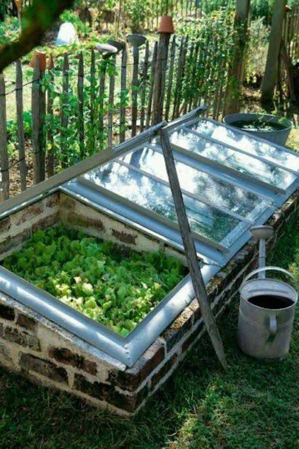 Estufa para cultivo de hortaliças
