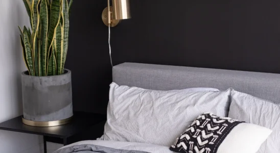 Quarto parede escura