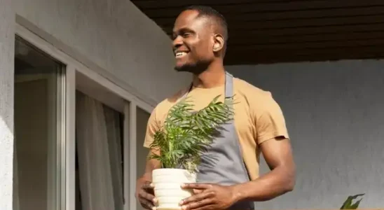 homem negro vaso de planta - Foto Freepik