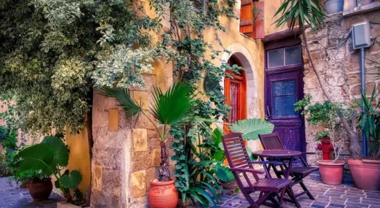 Vasos de Plantas em área externa de residência