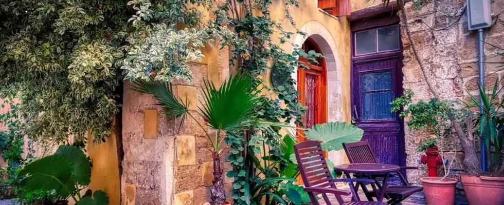 Vasos de Plantas em área externa de residência