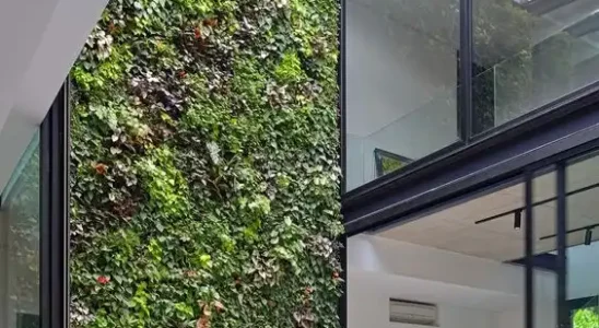 Jardim Vertical por Habitus Living