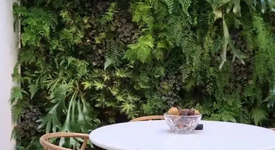 Jardim Vertical por Sample Board