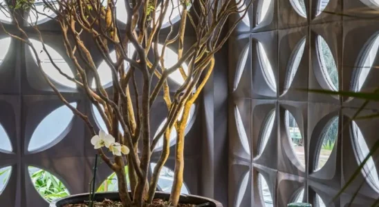 Blocos cobogós elegantes