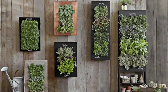 Jardins Verticais-DIY