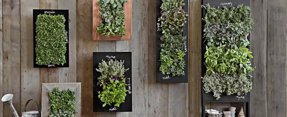 Jardins Verticais-DIY