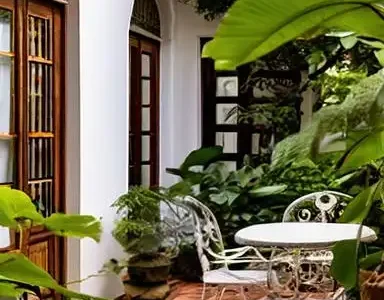 Jardim bem cuidado no quintal