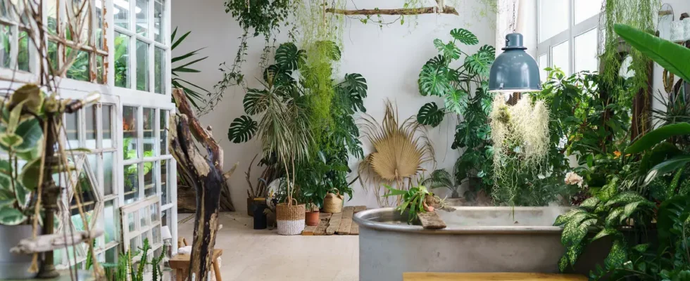 Jardim de Inverno em sala