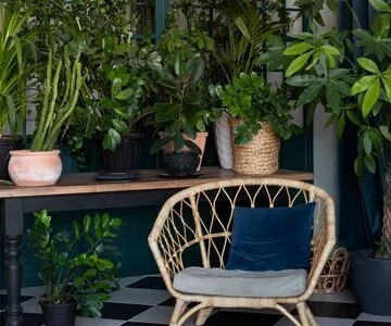 Lindo Jardim de Inverno