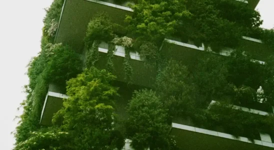 urbanismo ecológico