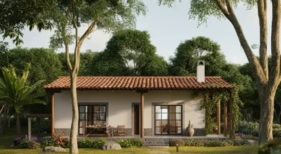 Incêndios Florestais - Casa de Campo