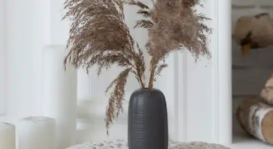 Decorando com crochê