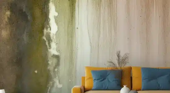 Infiltração na parede de sala de estar