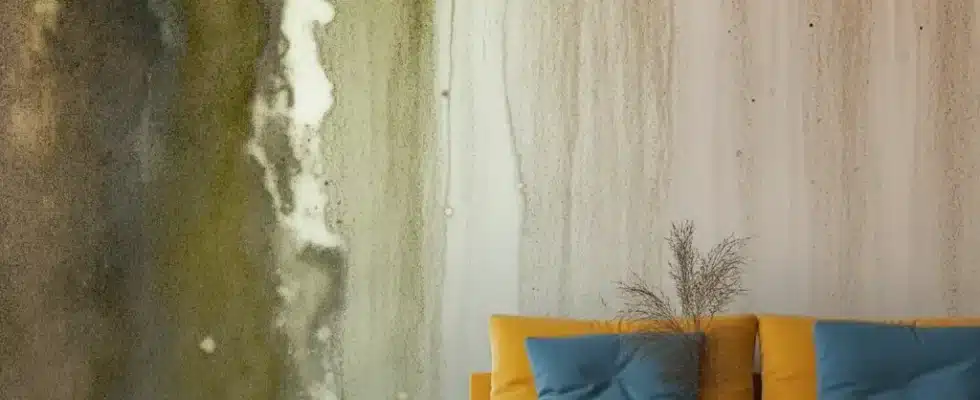 Infiltração na parede de sala de estar