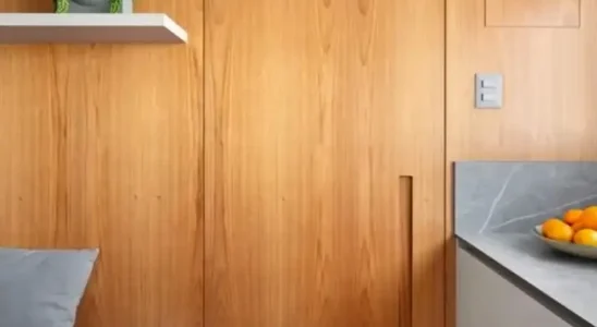 Portas mimetizadas em residências