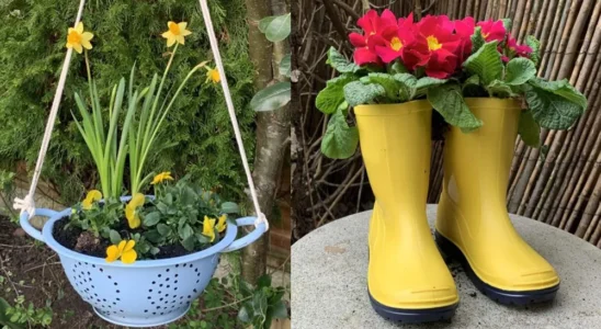 jardim com itens recicláveis