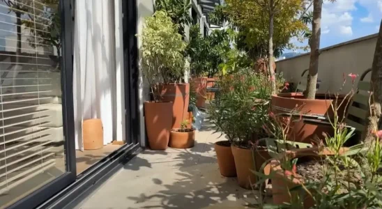 jardim onírico em varanda de apartamento