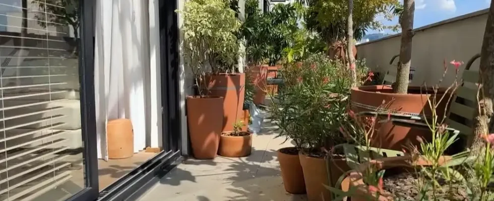 jardim onírico em varanda de apartamento